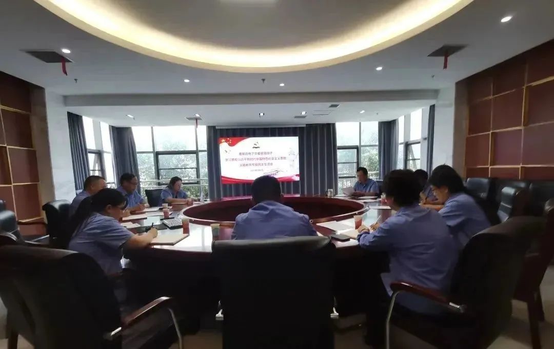 麥斯克電子黨委班子召開(kāi)主題教育專(zhuān)題民主生活會(huì )