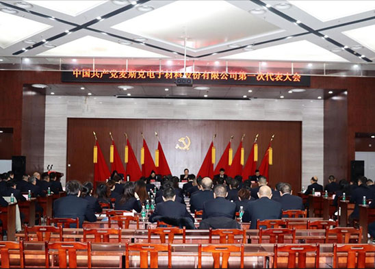中國共產(chǎn)黨麥斯克電子材料股份有限公司第一次代表大會(huì )勝利召開(kāi)