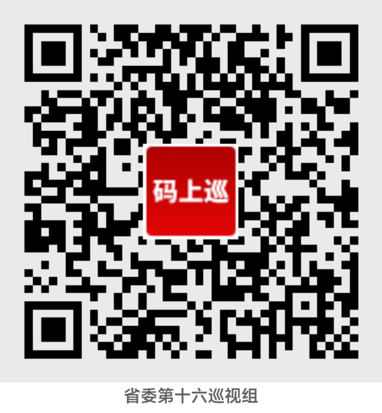 省委第十六巡視組巡視豫信電子科技集團有限公司黨委工作動(dòng)員會(huì )議召開(kāi)